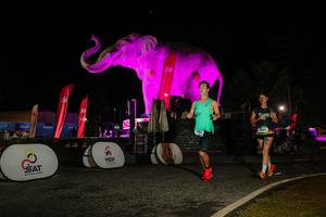 BIB: 
                            <button type="button" onclick="openModal(26534049)" class="btn btn-primary btn-sm float-right btn-popup" data-toggle="modal" data-target=".modal-high-quality">
                        <i class="fas fa-shopping-cart"></i> Add to Cart
                    </button>
                                            <button type="button" onclick="isThisMe(26534049, true)" class="btn btn-success btn-sm float-right btn-popup btn-isme hidden" data-toggle="tooltip" data-placement="bottom" title="นี่คือรูปของคุณใช่ไหม คลิกที่นี่เพื่อเอาเข้าอัลบั้ม">
                        <i class="fas fa-plus"></i> Add to album
                    </button>
                    <button type="button" onclick="isThisMe(26534049, false)" class="btn btn-warning btn-sm float-right btn-popup btn-isnotme hidden">
                        <i class="fas fa-ban"></i> Remove from album
                    </button>